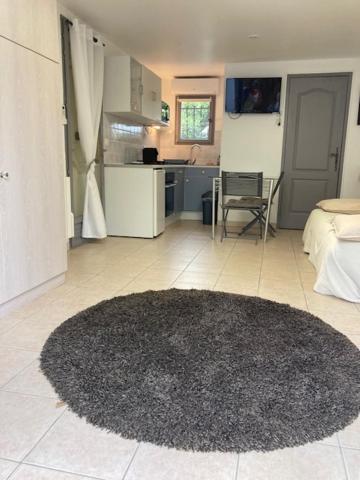 Studio Pied Dans L Eau La Londe-les-Maures Zewnętrze zdjęcie